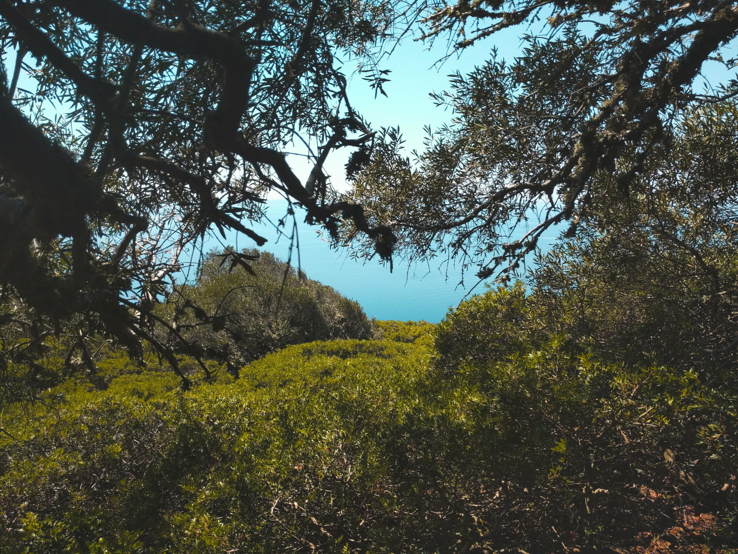 Journée en crique privatisée, Haouaria, Tunisie.